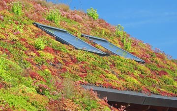Humberstone living roof systems